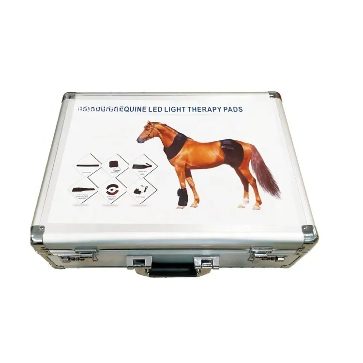 LED Lamp Therapy Machine for H - Therapy Health And Wellness recensie en prijs