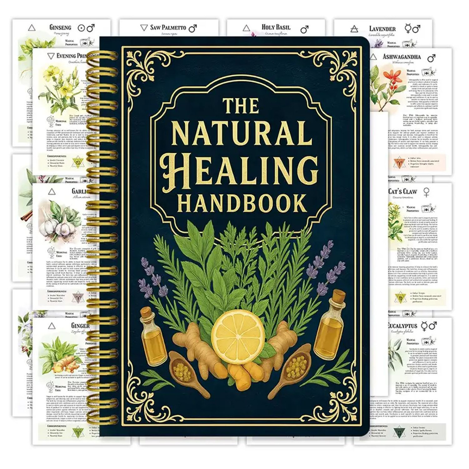 Natural Therapy Handbook, an E - Health & Wellness Expo 2025 recensie en prijs